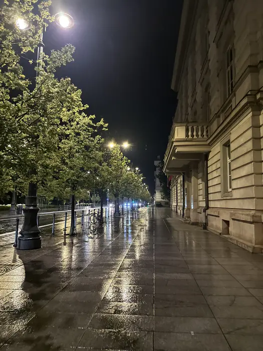 A wet, reflective sidewalk on a tree-lined street in Vilnius at night, bordered by a classical building on the right.