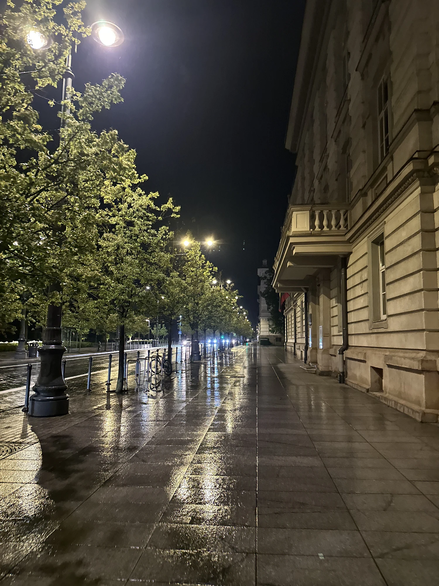 A wet, reflective sidewalk on a tree-lined street in Vilnius at night, bordered by a classical building on the right.
