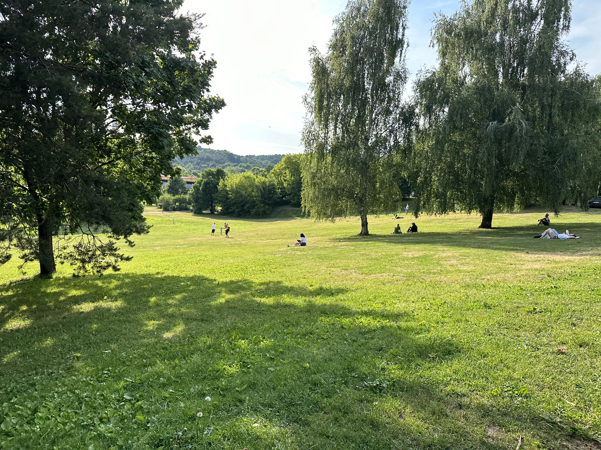 A wide green grassy meadow in a park under a bright sky, with scattered birch and deciduous trees casting shadows, and people relaxing in the distance.