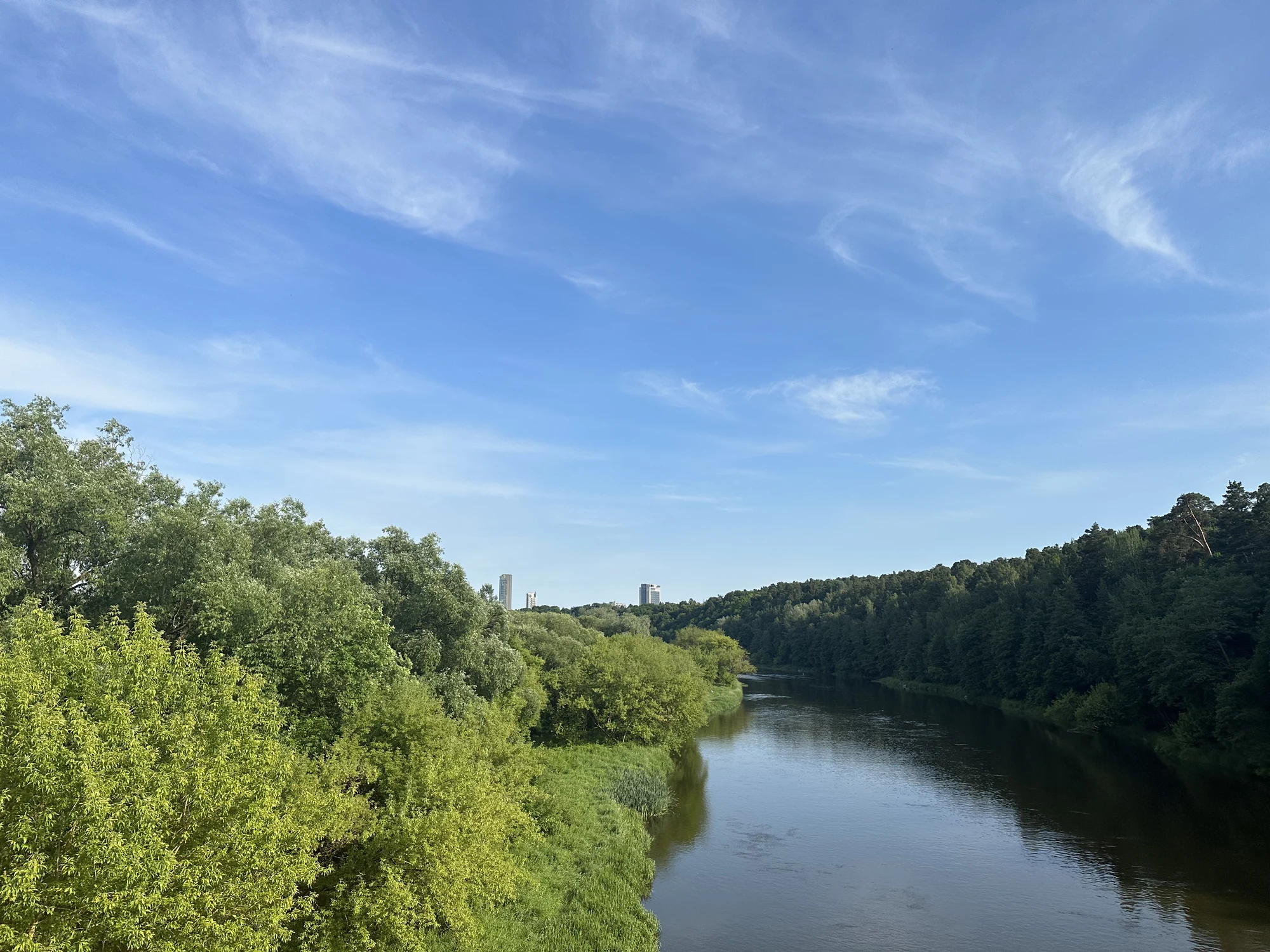 A wide landscape view of the Neris River flowing through dense green forests under a bright blue sky with wispy clouds, with a few distant skyscrapers on the horizon.