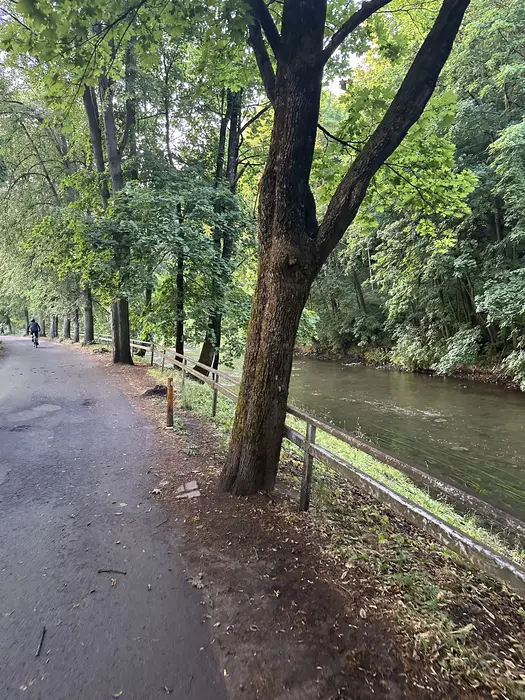 A paved path lined with tall green trees runs parallel to a flowing river, separated by a rustic wooden railing. A cyclist rides in the distance.