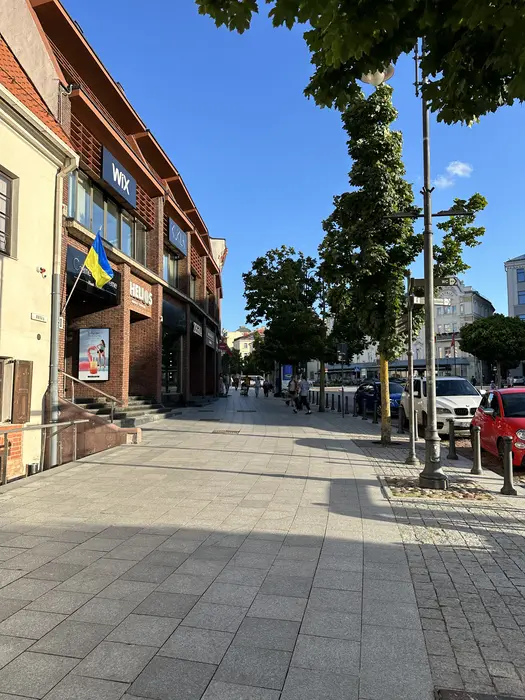 A wide paved sidewalk on Didžioji Street in Vilnius, lined with brick buildings, trees, parked cars, and pedestrians walking under a clear blue sky.