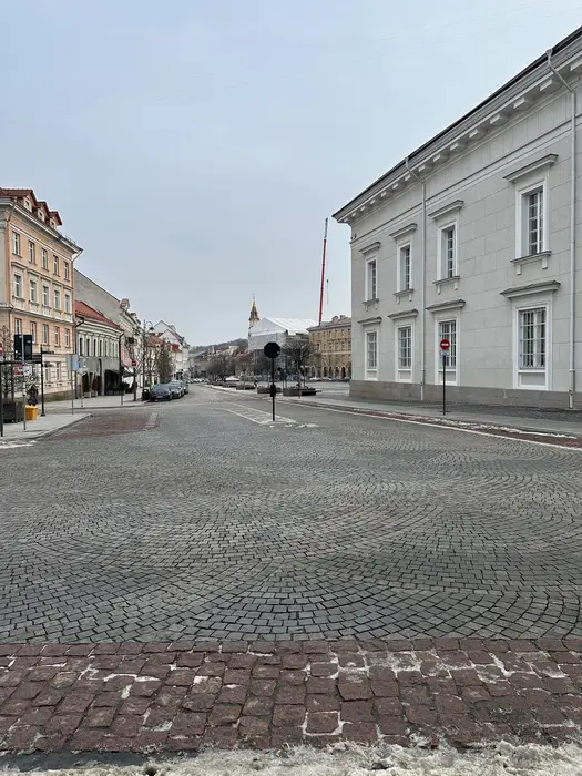 A wide-angle view of the cobblestone pavement at Town Hall Square in Vilnius, featuring the white neoclassical Town Hall building on the right and historic pastel-colored buildings on the left.