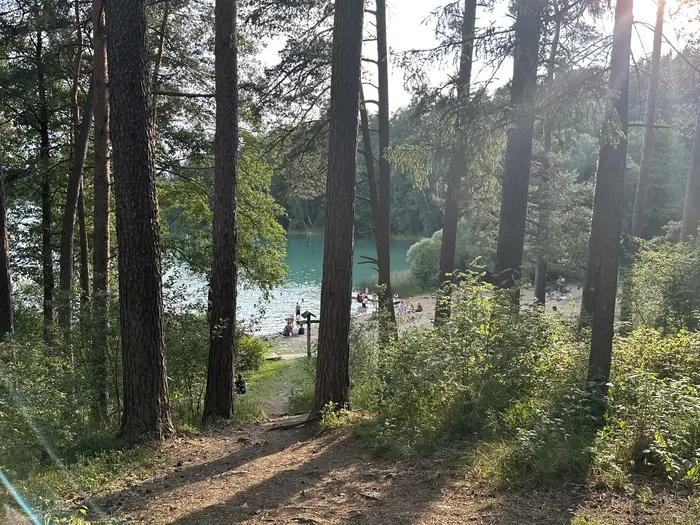 View through tall pine trees looking down a path toward a turquoise lake beach with people swimming and sunbathing on a sunny day.