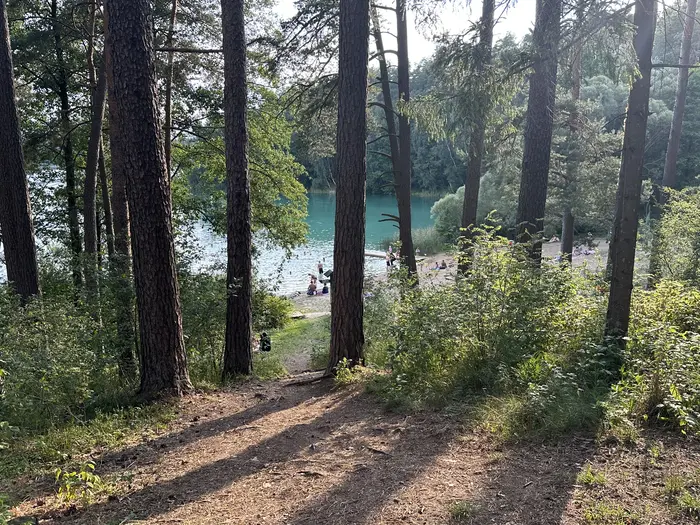 A dirt path through a pine forest looking down towards a sandy beach on a bright turquoise lake.