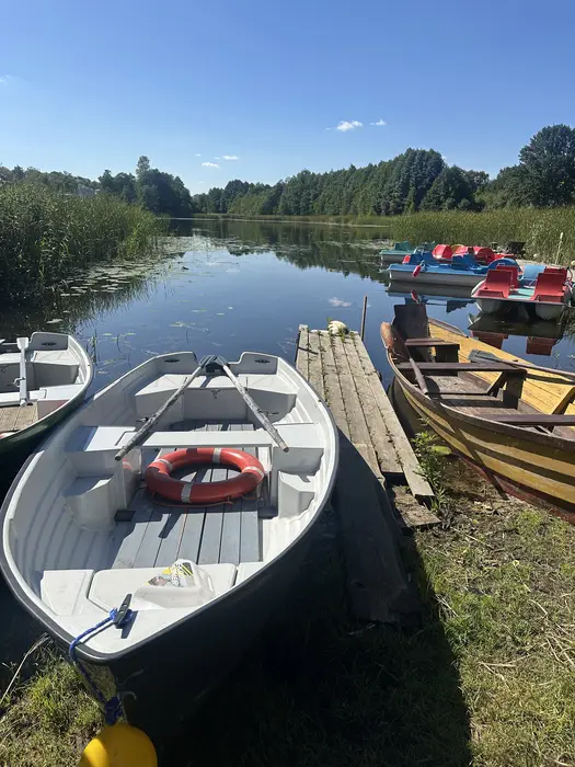 Rowboats and colorful pedal boats docked at a wooden pier on a calm lake surrounded by lush green trees under a clear blue sky.