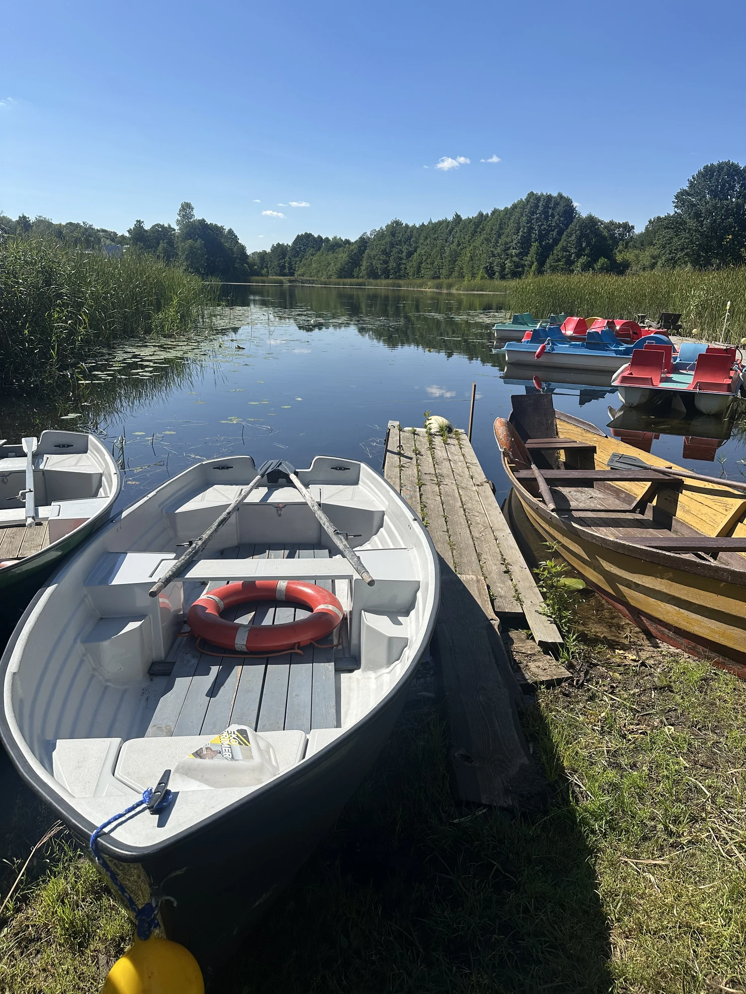 Rowboats and colorful pedal boats docked at a wooden pier on a calm lake surrounded by lush green trees under a clear blue sky.