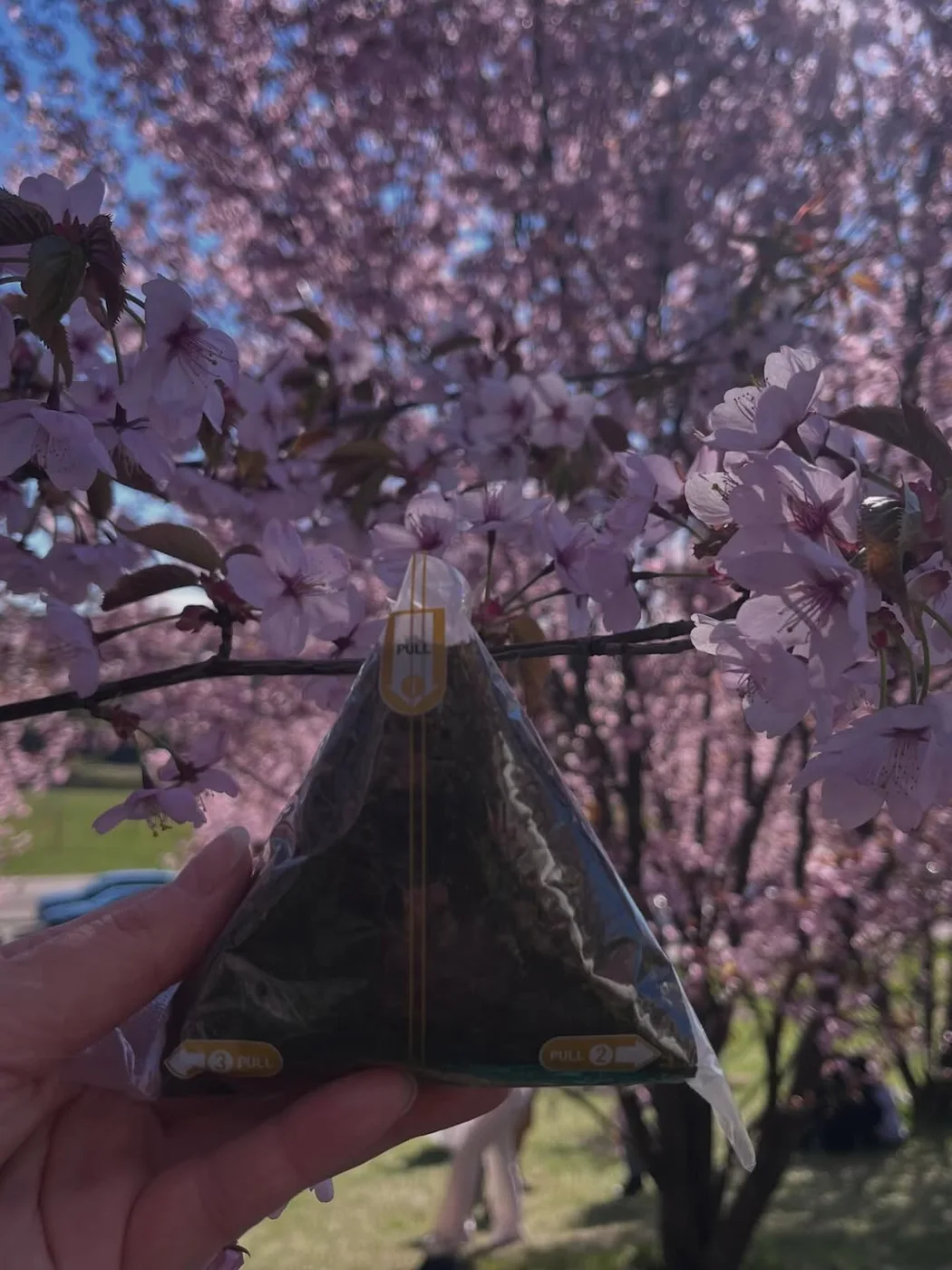 Eerie Onigiri — food