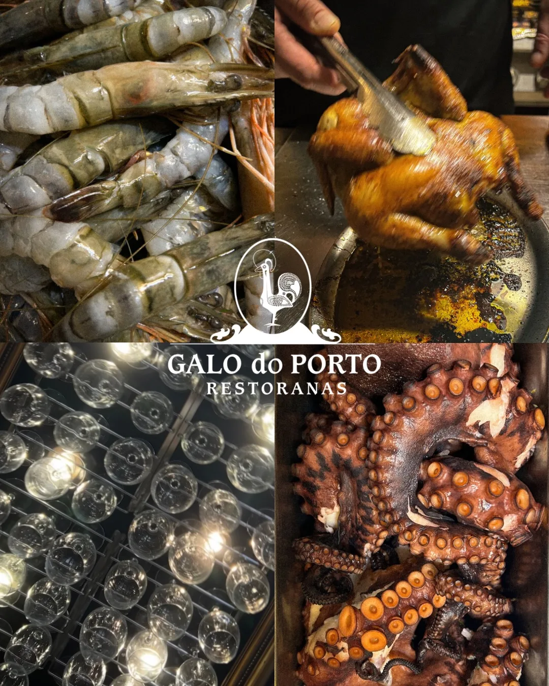 Galo do Porto — interior